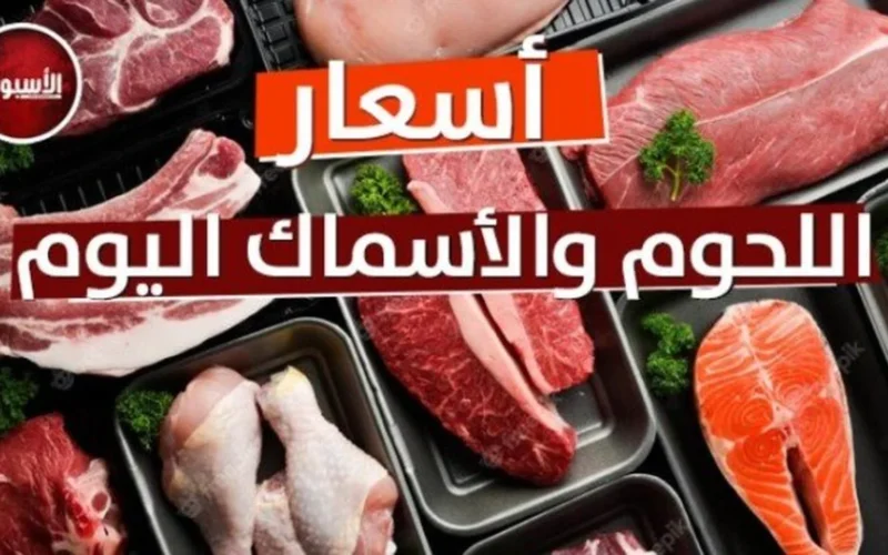 تحديثات الأسعار.. تباين في تكلفة شراء اللحوم البلدي والمستوردة بالأسواق المحلية